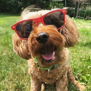 Meet your Posher, Leah